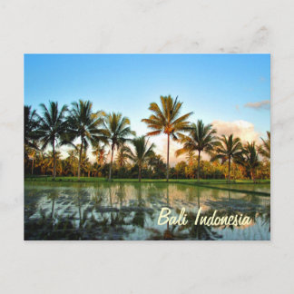 Postal Paraíso Foto Palmeras Tropicales Bali Indonesia