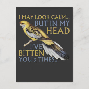 Postal Paraíso lindo Puedo parecerme tranquilo te mordió 