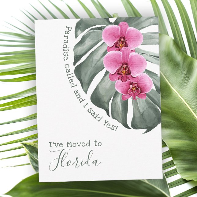 Postal Paraíso llamado orquídeas tropicales que he mudado (Subido por el creador)