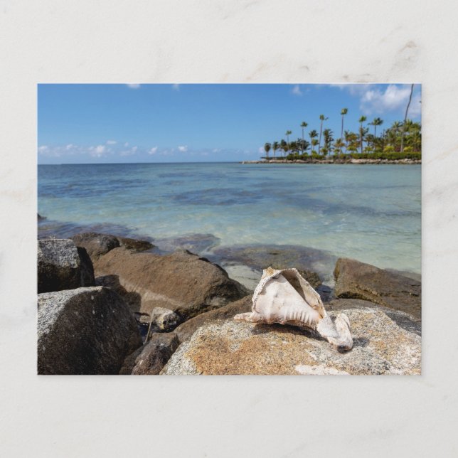 Postal Paraíso tropical (Anverso)