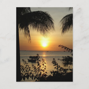 Postal Paraíso tropical