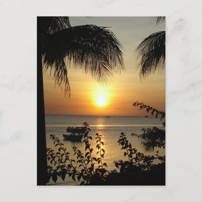 Postal Paraíso tropical (Anverso)