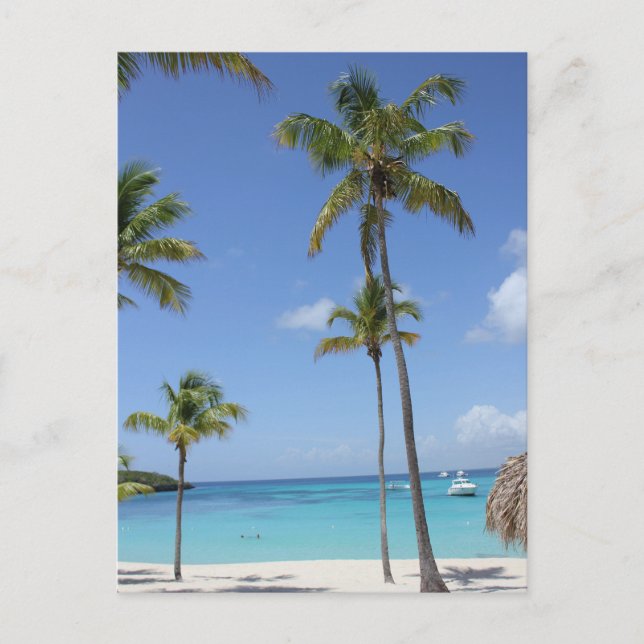 Postal Paraíso tropical (Anverso)