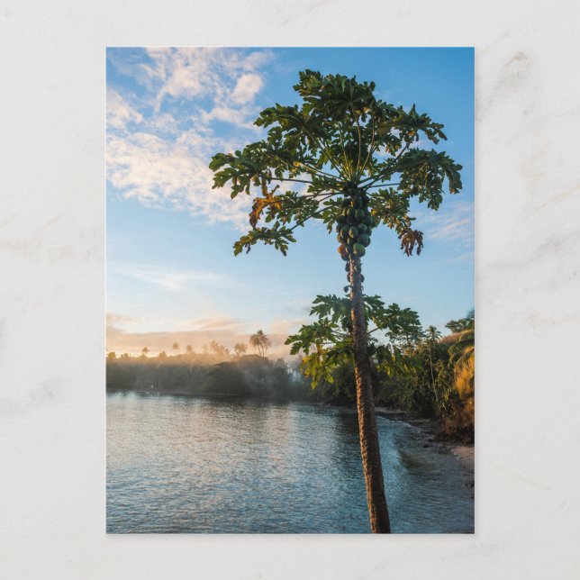 Postal Paraíso tropical al atardecer, Fiyi (Anverso)