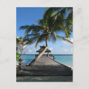 Postal Paraíso tropical - El mejor 12 de diciembre de 200
