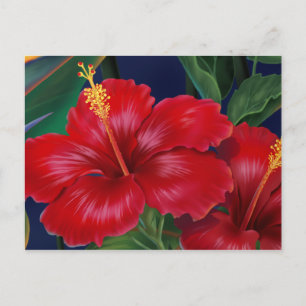 Postal Paraíso tropical Hibiscus Postcard