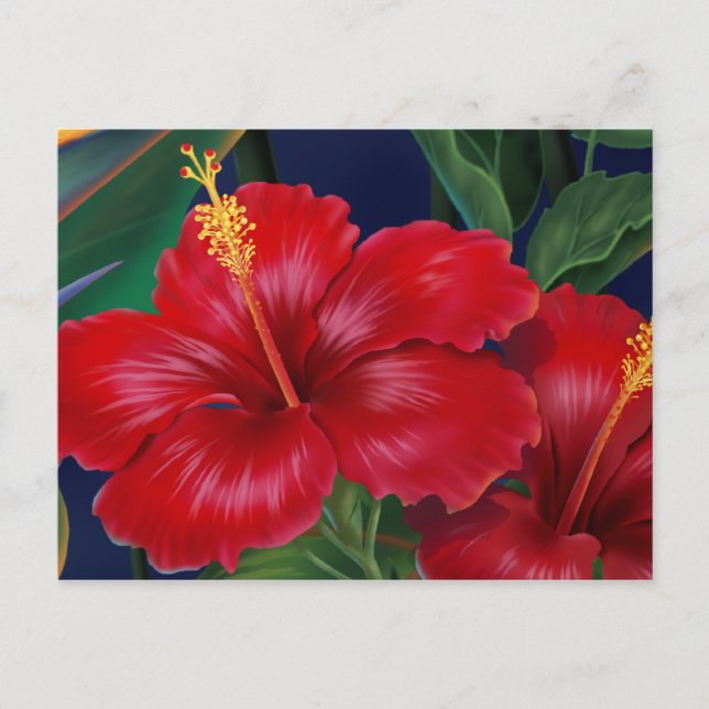 Postal Paraíso tropical Hibiscus Postcard (Anverso)