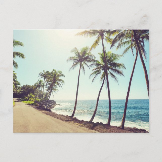 Postal Paraíso tropical Islas exóticas Palmeras, Océano (Anverso)