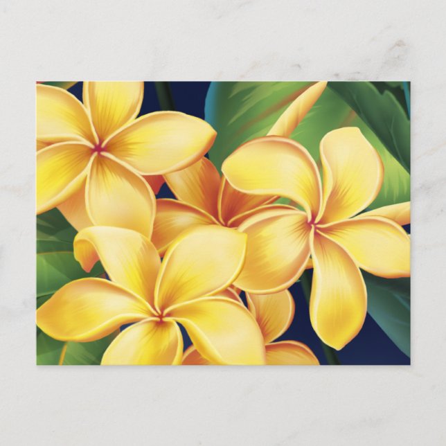 Postal Paraíso tropical Plumeria Postcard (Anverso)
