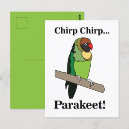 Postal Parakeet Bird