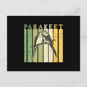 Postal Parakeet Lover Parakeets Budgerigar Mascota Budgie