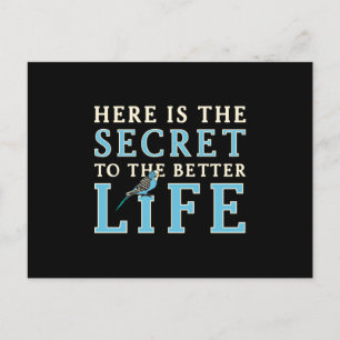 Postal Parakeet Lover Secreto To Better Life Budgerigar
