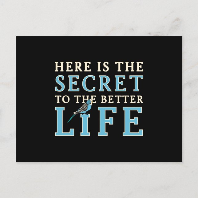Postal Parakeet Lover Secreto To Better Life Budgerigar (Anverso)