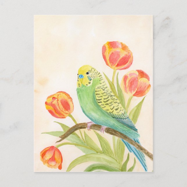 Postal Parakeet with Tulips  (Anverso)