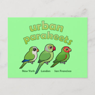 Postal Parakeets urbanos