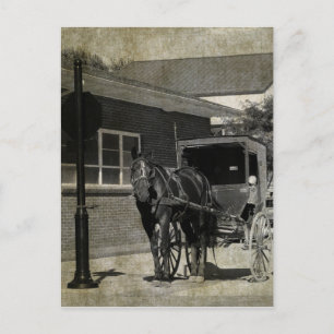Postal Parar por un hechizo, caballo Amish en el Rótulo S