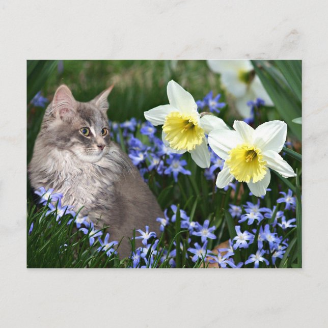 Postal Parar y oler las flores (Anverso)