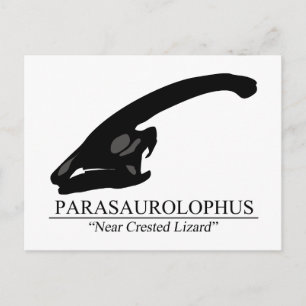 Postal Parasaurolophus Skull