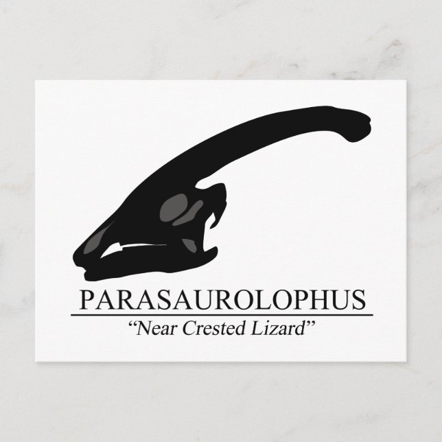 Postal Parasaurolophus Skull (Anverso)