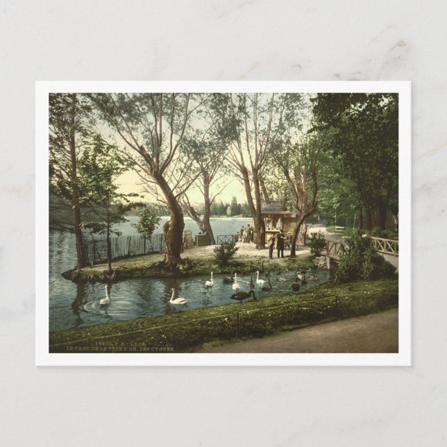 Postal Parc de la Tête d'Or, Lyon, Francia (Anverso)
