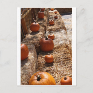 Postal Parche de calabaza
