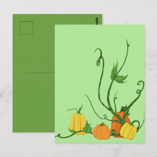 Postal Parche de calabaza