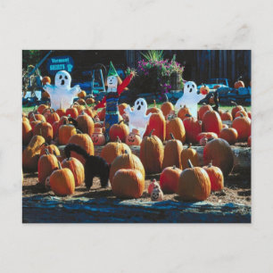 Postal Parche de calabaza con fantasmas - Postcard