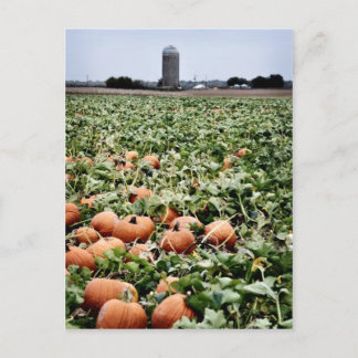 Postal Parche de calabaza en Lawrence, KS