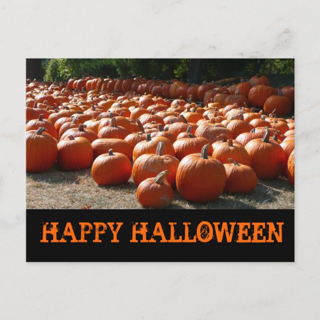 Postal Parche de calabaza Feliz Halloween (Anverso)