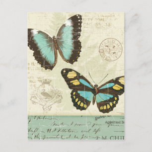 Postal Parche de mariposa