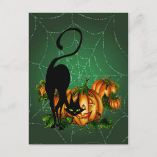 POSTAL PARCHE DE PUMPKIN, GATO NEGRO Y WEB DE SHARON SHAR