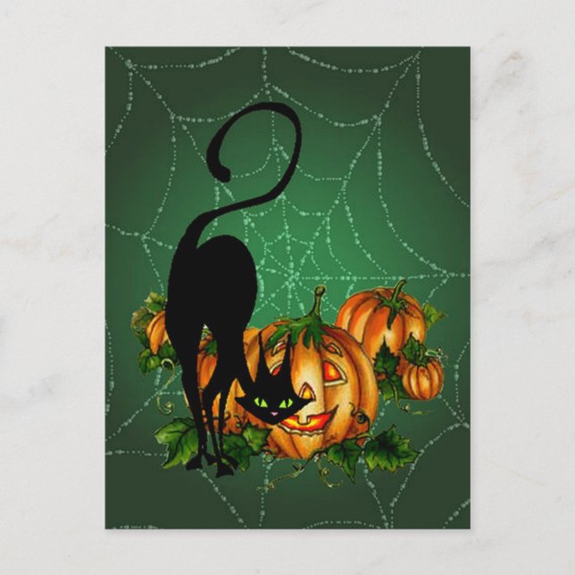 POSTAL PARCHE DE PUMPKIN, GATO NEGRO Y WEB DE SHARON SHAR (Anverso)