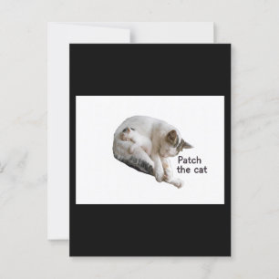 POSTAL PARCHE EL GATO Y SU KITTEN