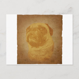 Postal Parchment Pug