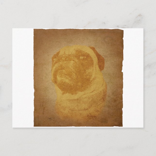 Postal Parchment Pug (Anverso)