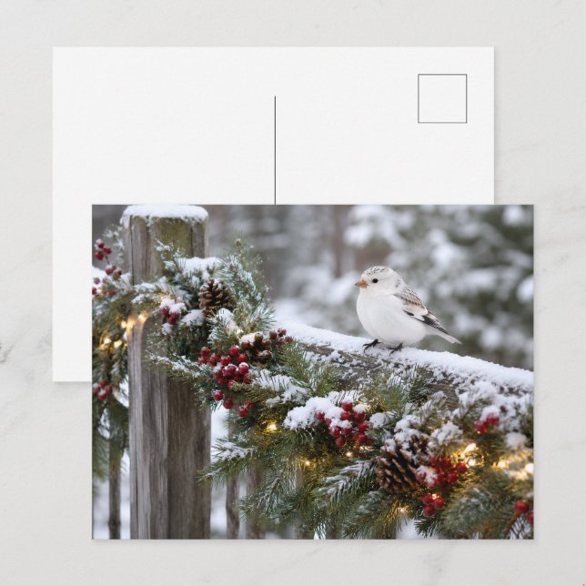 Postal Pardillo de Navidad de Invierno (Anverso / Reverso)