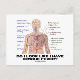 Postal ¿Parece Que Tengo Fiebre De Dengue? (Anatomía)