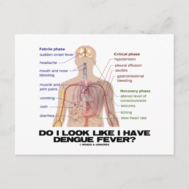 Postal ¿Parece Que Tengo Fiebre De Dengue? (Anatomía) (Anverso)