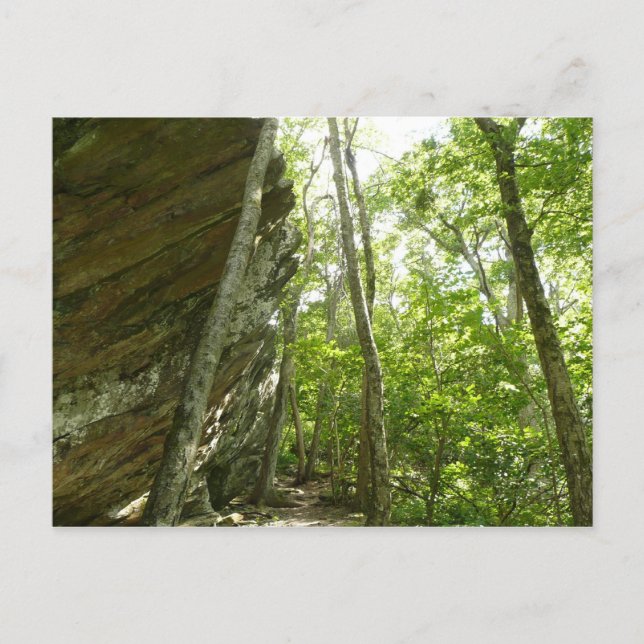 Postal Pared de roca Frazier en el Parque Nacional Shenan (Anverso)