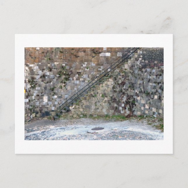 Postal Pared de Savannah (Anverso)