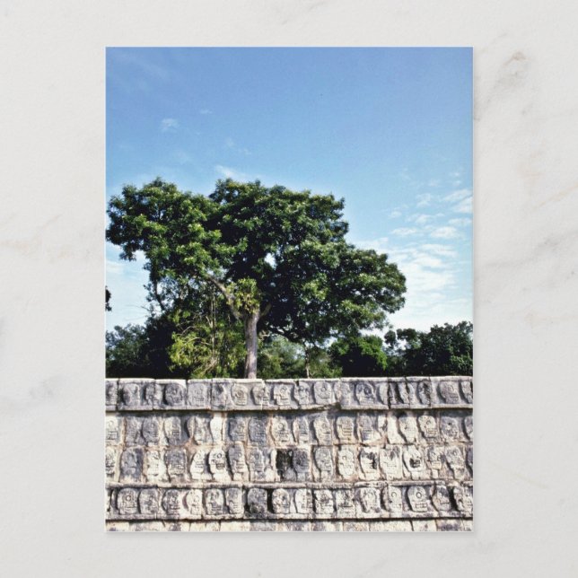 Postal Pared Tzompantli De Calaveras, Chichen Itza (Anverso)