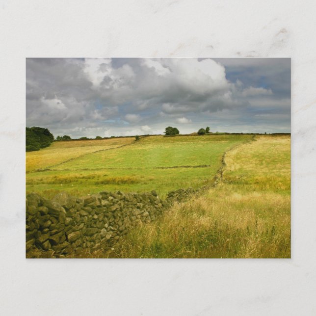 Postal Paredes y praderas (Anverso)