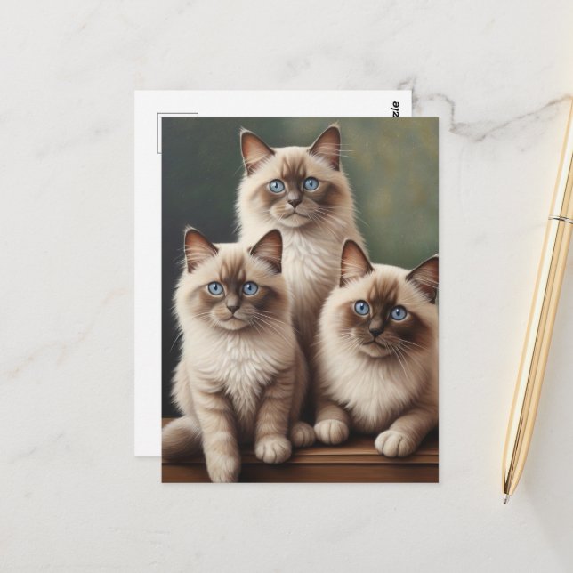 Postal Pareja Adorable de Ragdoll Kittens Gato Dulce (Anverso/Reverso In Situ)