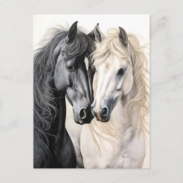 Postal Pareja de caballos Caballo negro y blanco Postcros