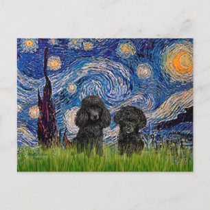 Postal Pareja de Caniches (negros) - Noche estrellada
