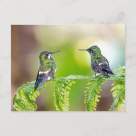 Postal Pareja de colibrí en una hoja