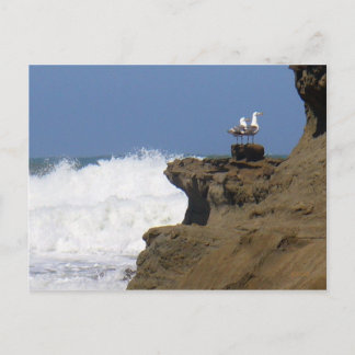 Postal Pareja de gaviotas