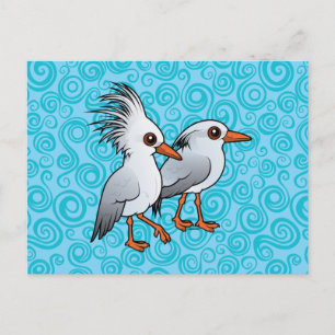Postal Pareja de Kagu