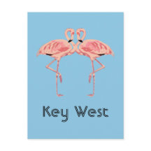 Pareja Flamingo Rosa Key West Florida