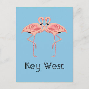 Postal Pareja Flamingo Rosa Key West Florida